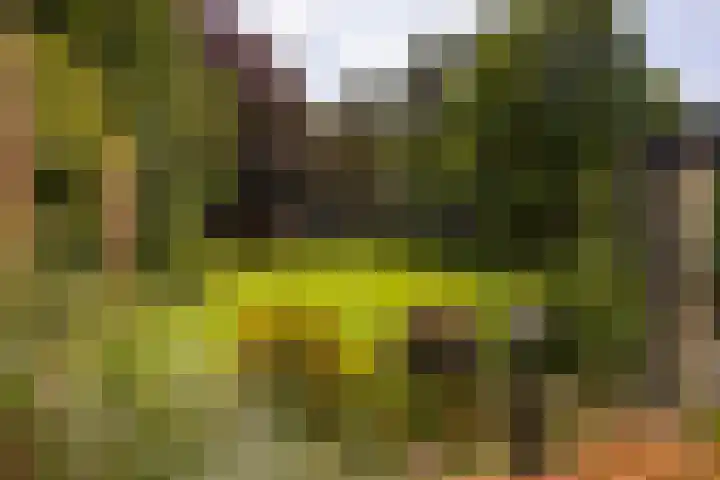 Holterweg 130 Lettele thumbnail 65