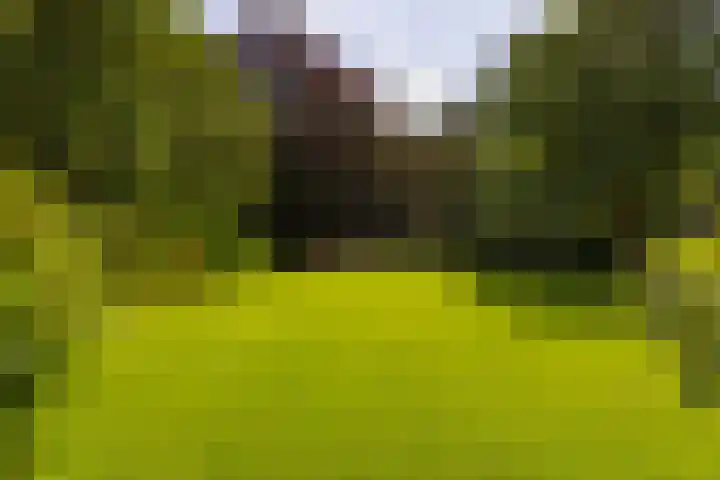 Holterweg 130 Lettele thumbnail 66