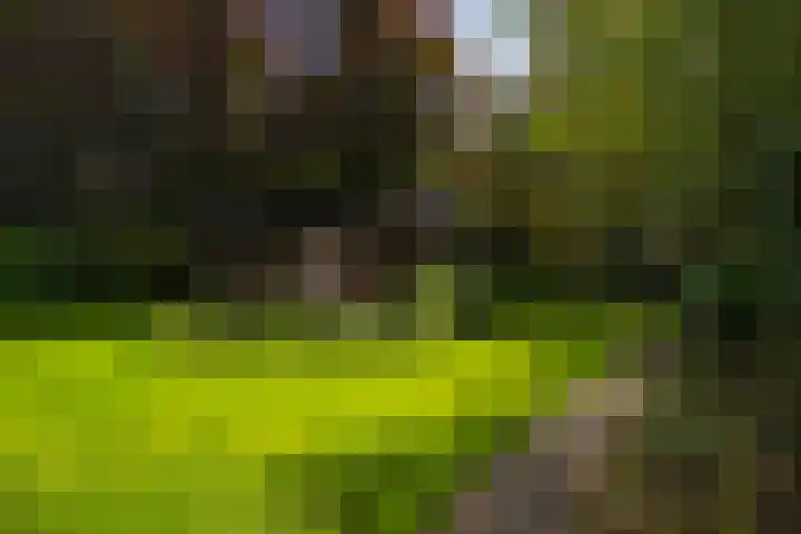 Holterweg 130 Lettele thumbnail 67