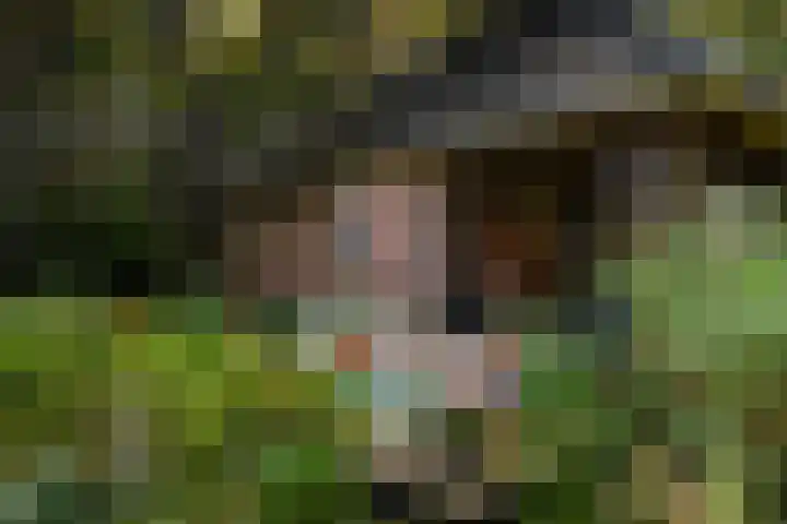 Holterweg 130 Lettele thumbnail 68