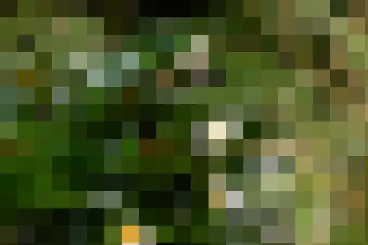 Holterweg 130 Lettele thumbnail 69