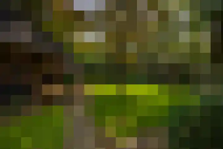 Holterweg 130 Lettele thumbnail 70