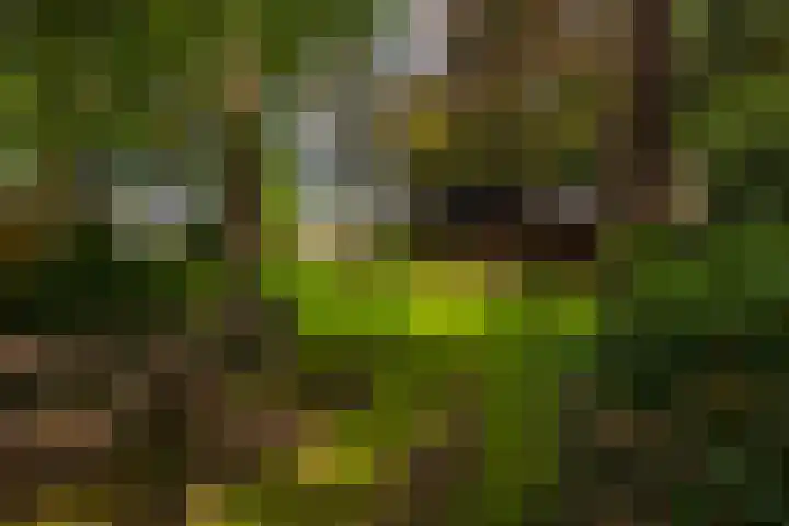 Holterweg 130 Lettele thumbnail 71