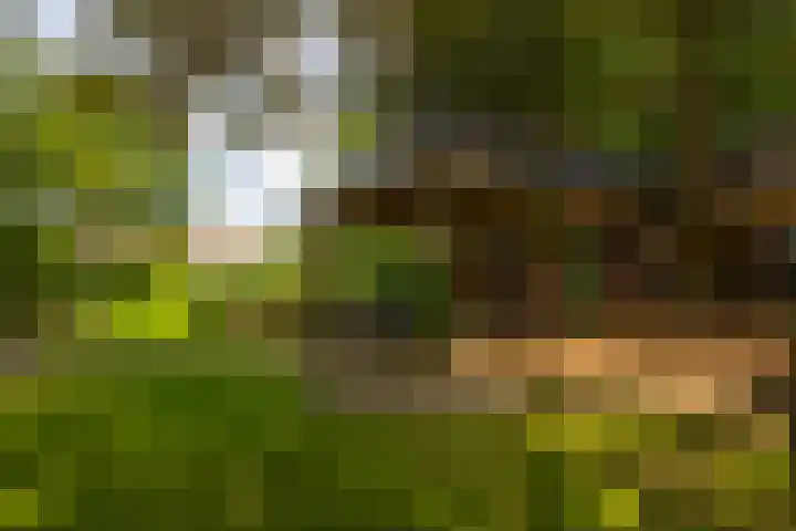 Holterweg 130 Lettele thumbnail 72