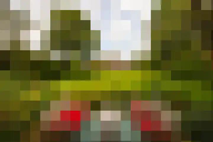 Holterweg 130 Lettele thumbnail 74