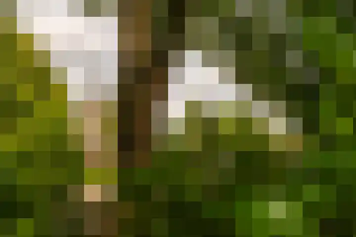 Holterweg 130 Lettele thumbnail 75