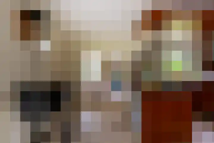 Holterweg 130 Lettele thumbnail 8