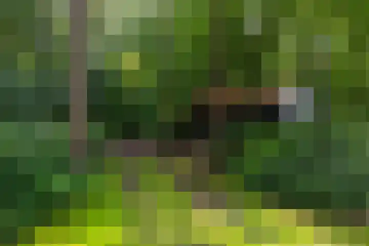 Holterweg 130 Lettele thumbnail 82