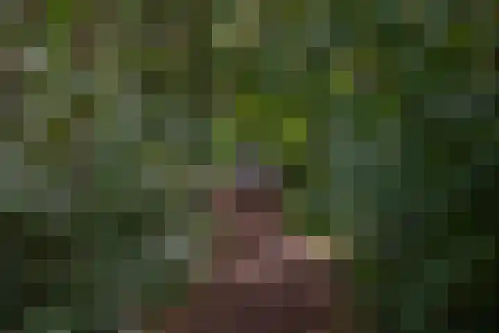 Holterweg 130 Lettele thumbnail 83
