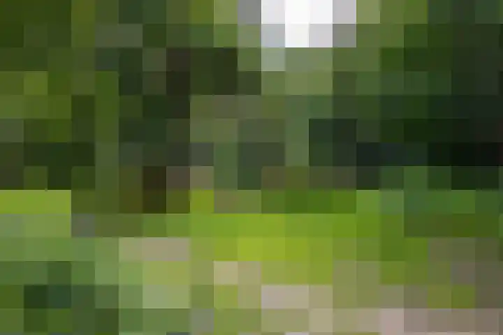 Holterweg 130 Lettele thumbnail 84