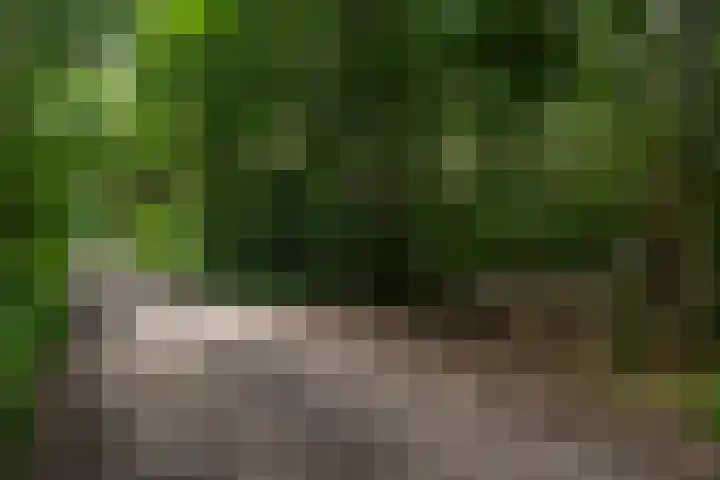 Holterweg 130 Lettele thumbnail 85