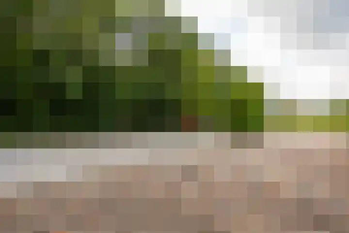 Holterweg 130 Lettele thumbnail 86