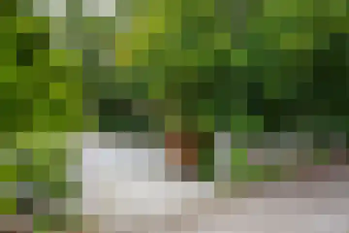 Holterweg 130 Lettele thumbnail 87
