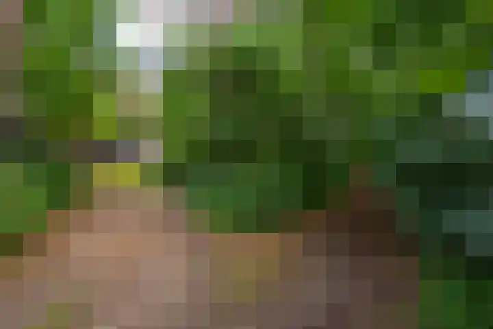 Holterweg 130 Lettele thumbnail 88