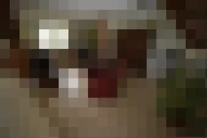 Holterweg 135 Lettele thumbnail 10