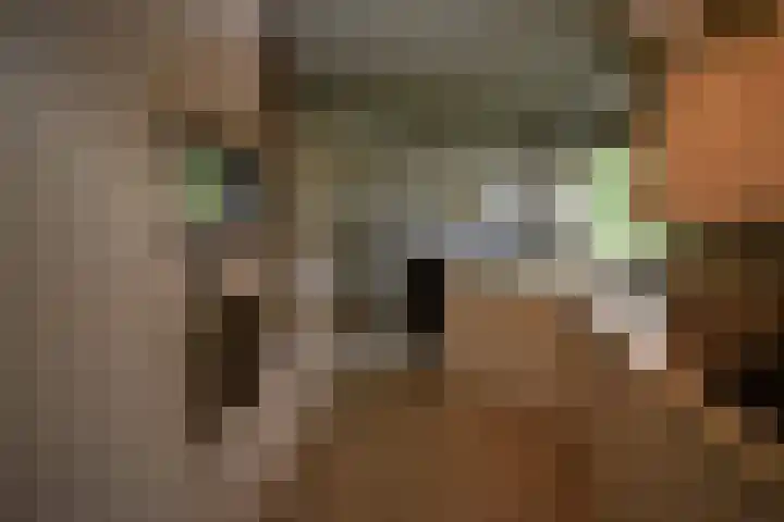 Holterweg 135 Lettele thumbnail 13