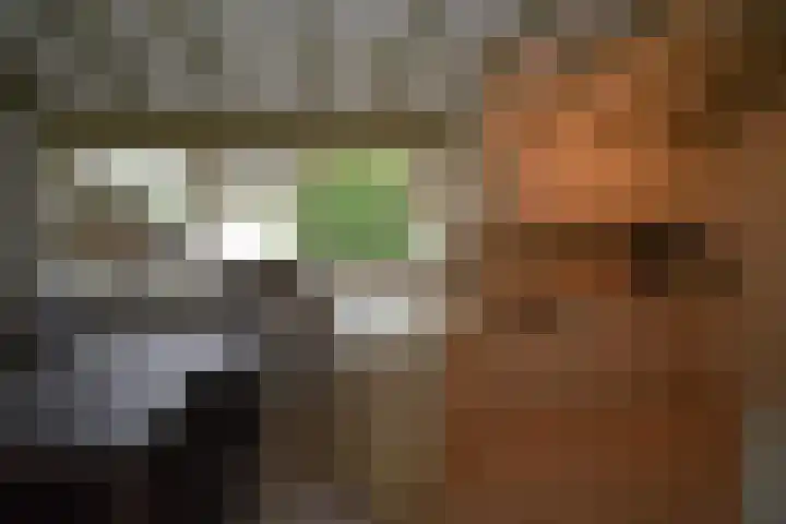 Holterweg 135 Lettele thumbnail 15