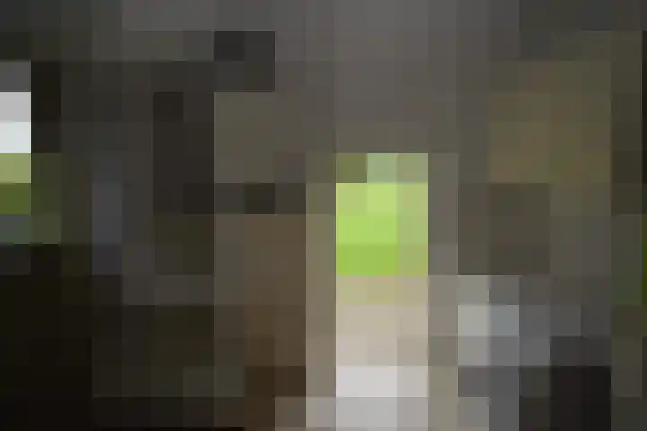 Holterweg 135 Lettele thumbnail 16