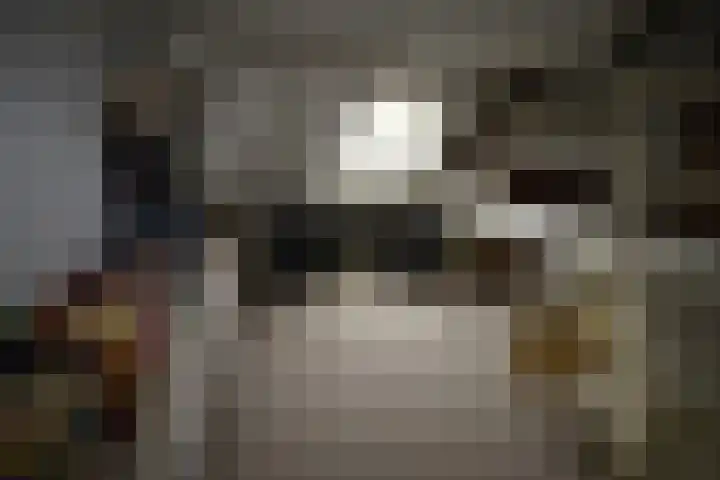 Holterweg 135 Lettele thumbnail 23