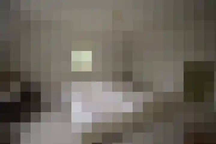 Holterweg 135 Lettele thumbnail 24