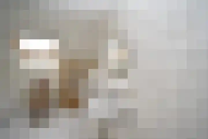 Holterweg 135 Lettele thumbnail 27