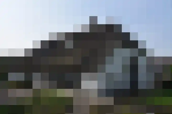 Holterweg 135 Lettele thumbnail 35