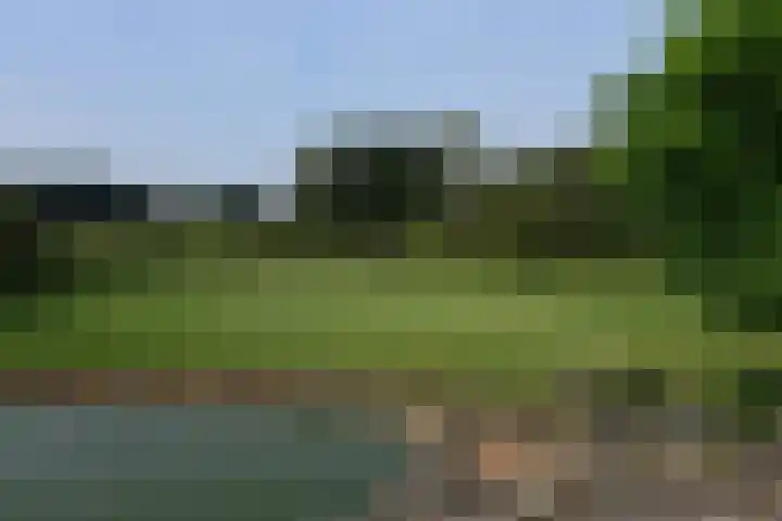 Holterweg 135 Lettele thumbnail 37