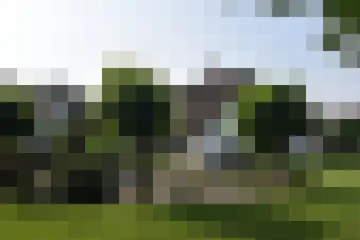 Holterweg 135 Lettele thumbnail 38