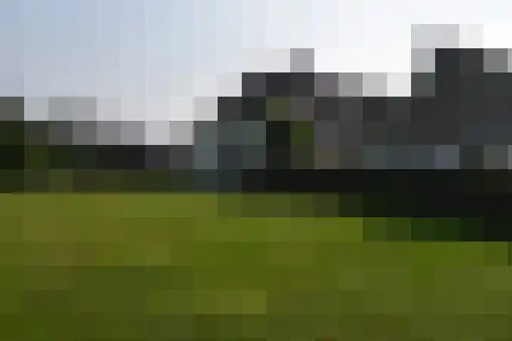 Holterweg 135 Lettele thumbnail 39