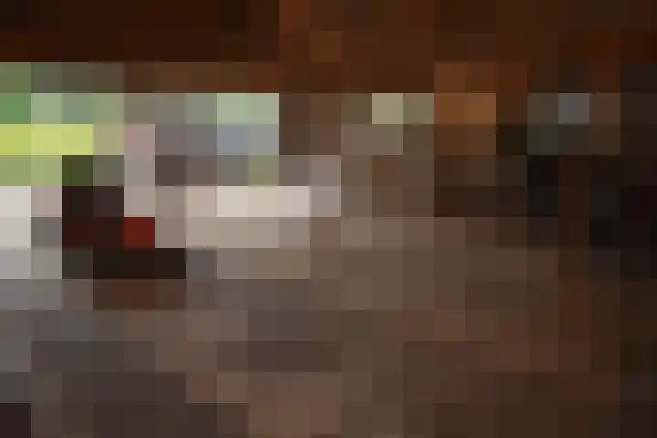 Holterweg 135 Lettele thumbnail 42