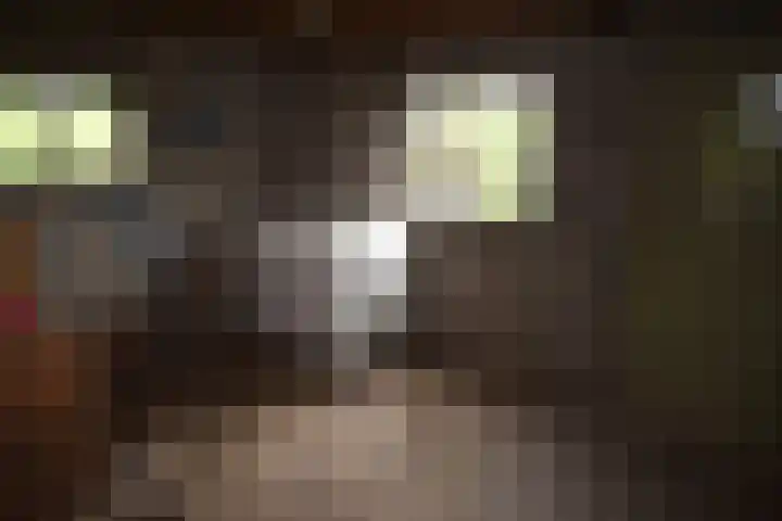 Holterweg 135 Lettele thumbnail 43