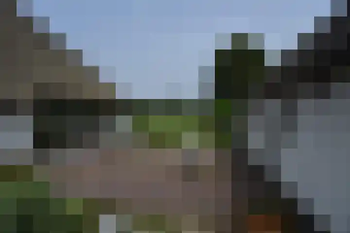 Holterweg 135 Lettele thumbnail 47