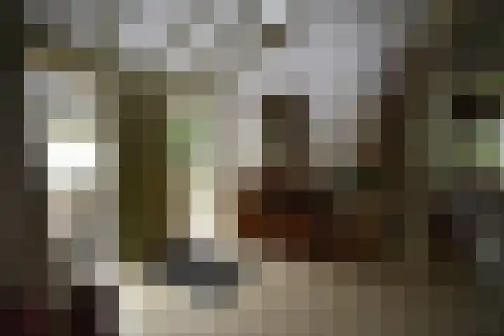 Holterweg 135 Lettele thumbnail 5
