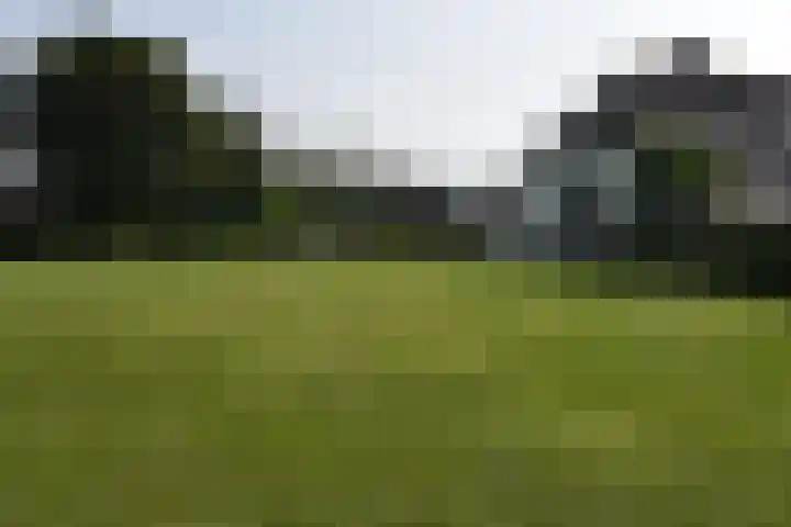 Holterweg 135 Lettele thumbnail 51