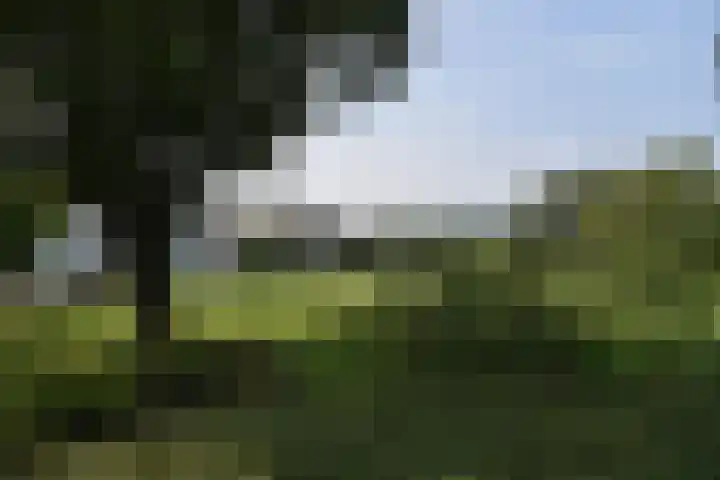 Holterweg 135 Lettele thumbnail 52