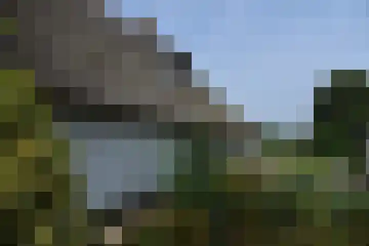 Holterweg 135 Lettele thumbnail 57