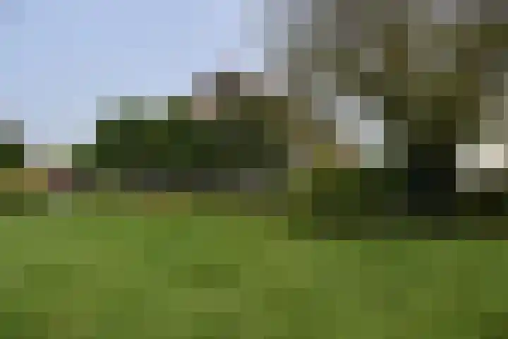 Holterweg 135 Lettele thumbnail 58