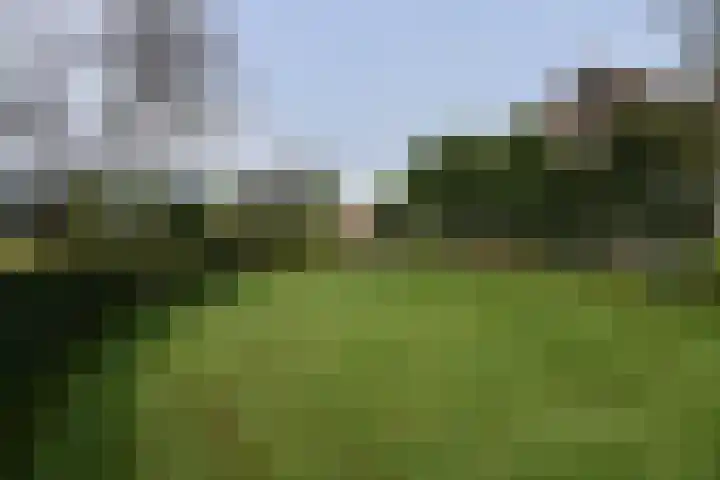 Holterweg 135 Lettele thumbnail 59