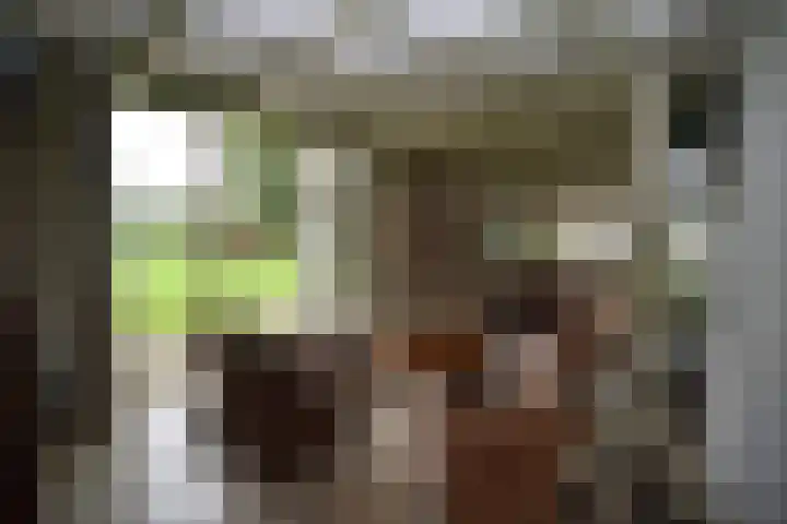 Holterweg 135 Lettele thumbnail 6