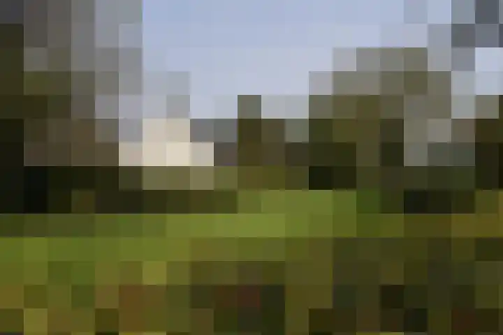 Holterweg 135 Lettele thumbnail 60