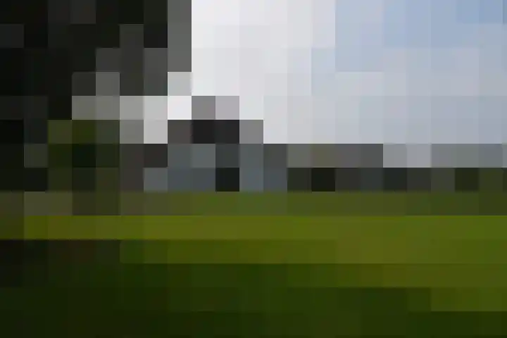 Holterweg 135 Lettele thumbnail 62