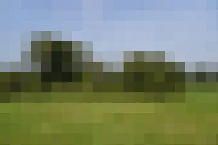 Holterweg 135 Lettele thumbnail 63