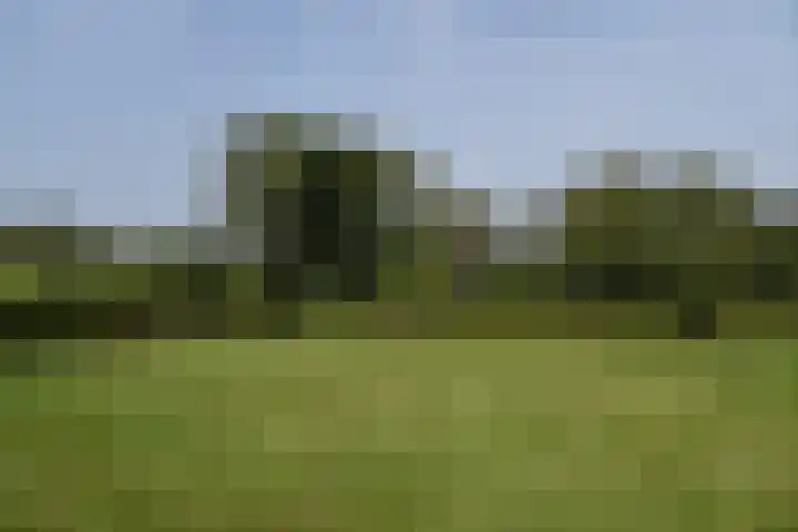Holterweg 135 Lettele thumbnail 64