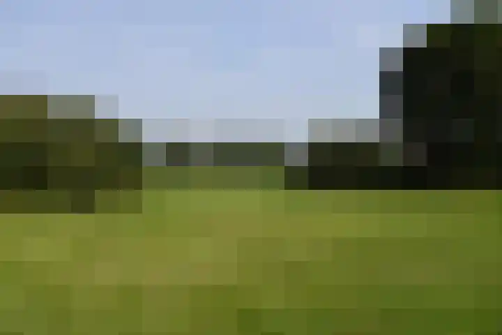 Holterweg 135 Lettele thumbnail 65