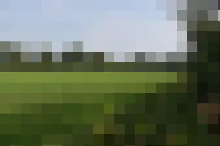 Holterweg 135 Lettele thumbnail 66