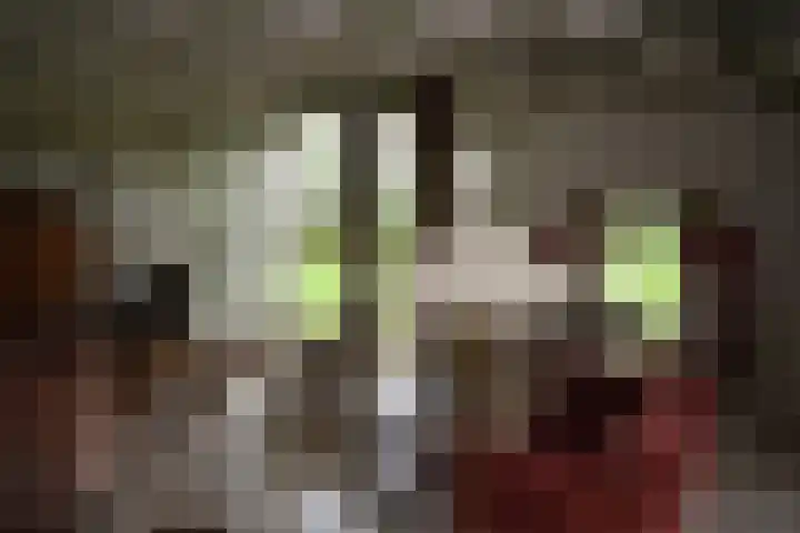 Holterweg 135 Lettele thumbnail 7