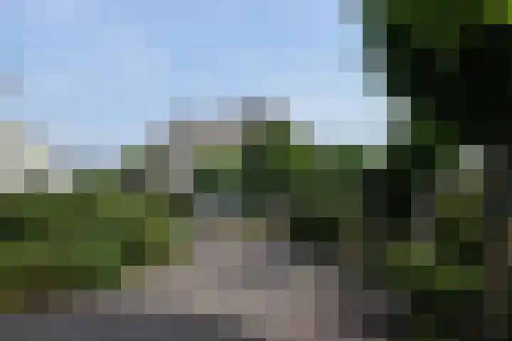 Holterweg 135 Lettele thumbnail 71