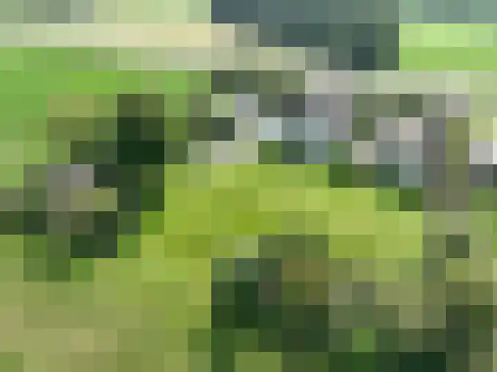 Holterweg 135 Lettele thumbnail 75