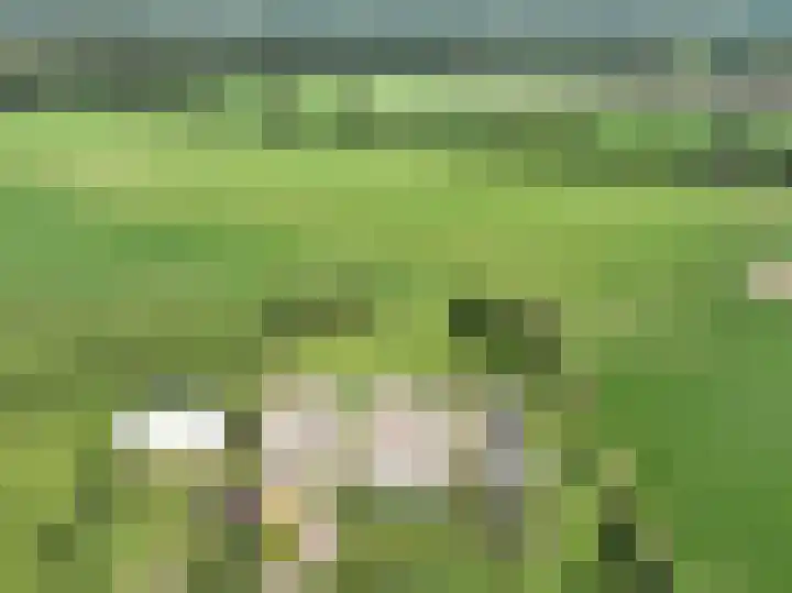 Holterweg 135 Lettele thumbnail 78