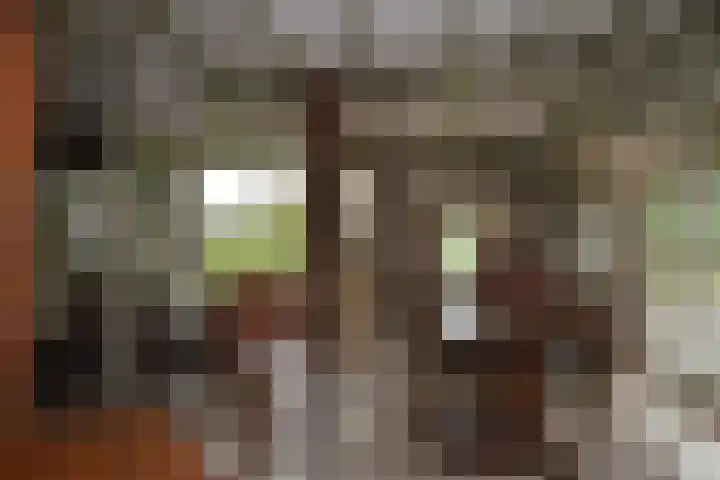 Holterweg 135 Lettele thumbnail 8